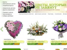 Интернет-магазин салона цветов "Ирис"